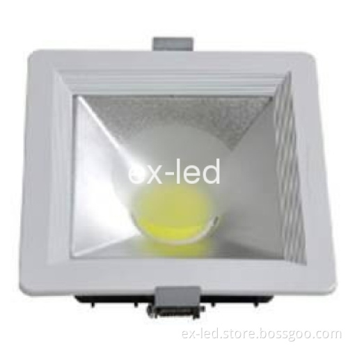 Excellent New Design High Power 30W COB Downlight  Lamps Sliver Surfac